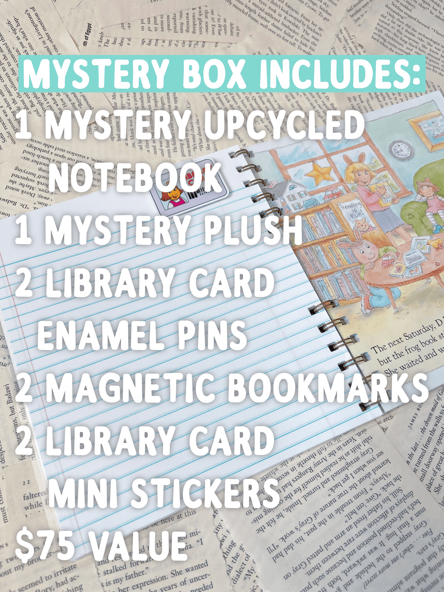 Library Card Mystery Box